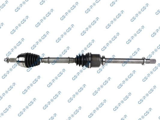 250596 GSP