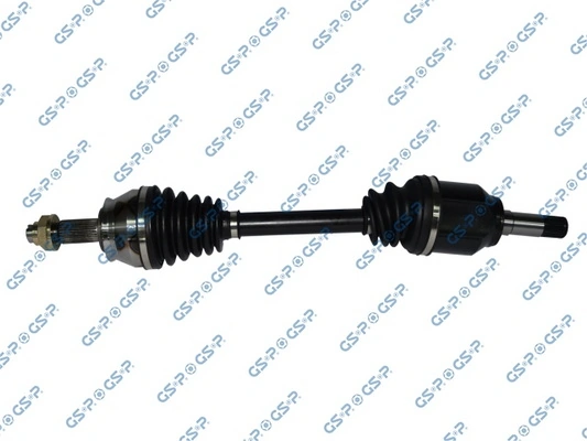217078 GSP