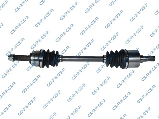 299095 GSP