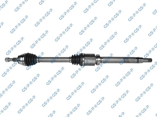 218420 GSP