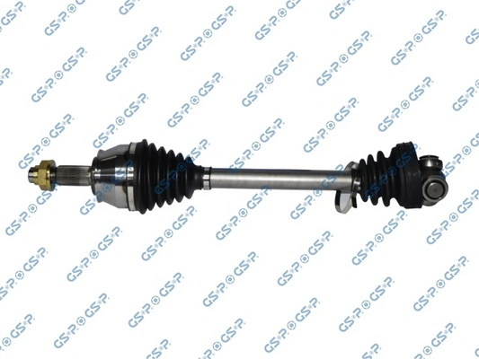 217055 GSP