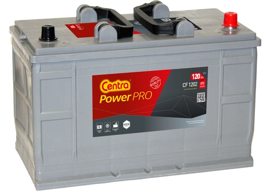 CF1202 Exide