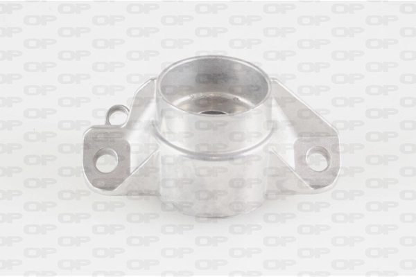 Copelas trasero Audi Q5 (8RB)