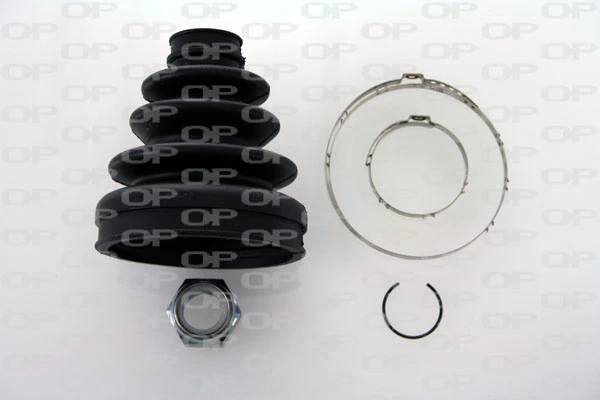 Fuelle semieje delantero exterior Renault Scenic II monovolumen comprar en España