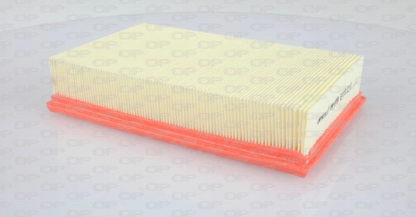 Comprar Filtro de aire Nissan Pathfinder  R51M a bajo precio