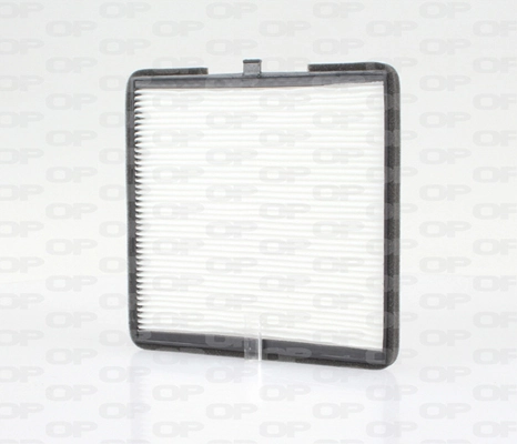 Filtro antipolen Hyundai I10  (2007-2010)