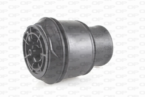 ASP401100 Open Parts