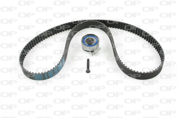 Juego de correas dentadas Recoficial REC221 precio, desde 82,39 EUR