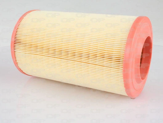 Filtro de aire para Citroen Jumper 244