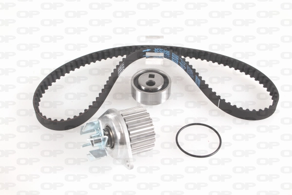 Kit de distribución CT955WP1 Continental/Siemens