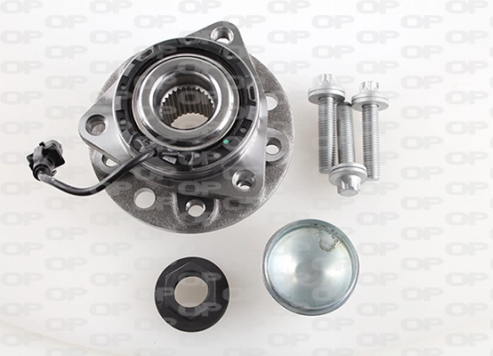 HBK513203 Open Parts