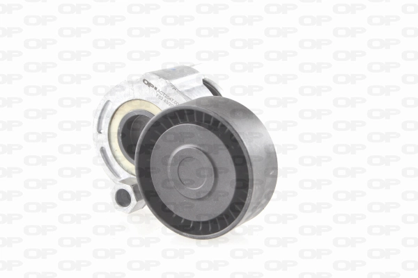 Tensor de la correa trapecial poli v Renault Kangoo (KC0, KC1)