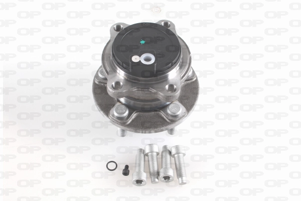 Buje de rueda trasero Ford Focus III (2010-2020)