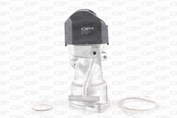 Comprar EGR Kuga I CBV