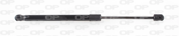 Comprar Amortiguador de puerta trasera DUSTER I HS