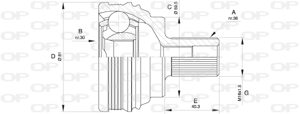 CVJ553810 Open Parts