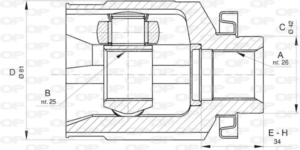 CVJ581020 Open Parts