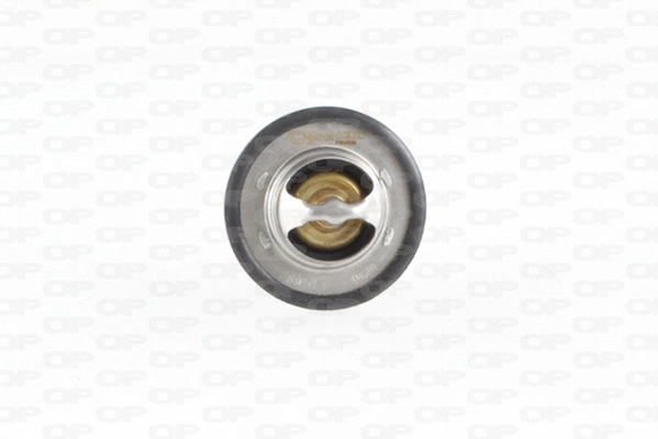 Termostato refrigerante Renault Laguna II hatchback comprar en España