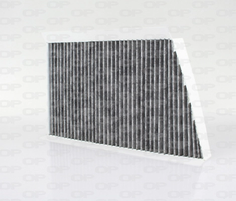 CAF210811 Open Parts