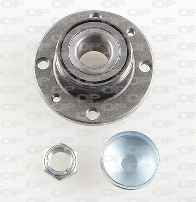 Buje de rueda trasero Fiat Tempra  (1990-1996)