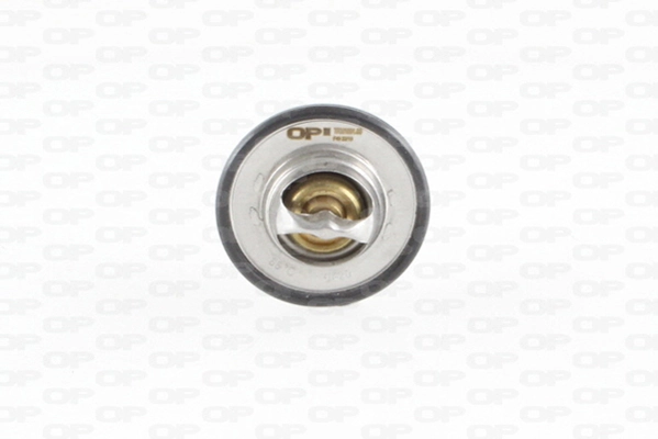 TRM100100 Open Parts