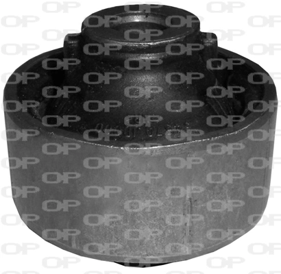 Silentblock suspension Scenic II monovolumen (2004-2009) original desde 12,63 €