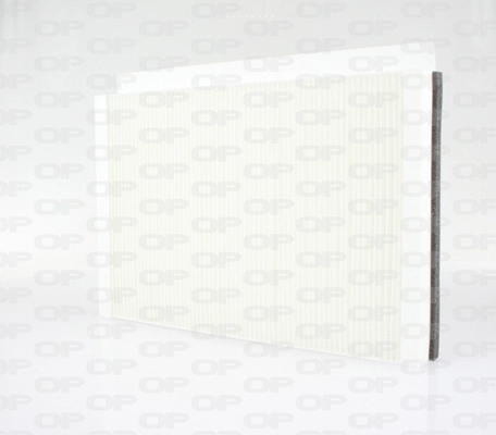 CAF212001 Open Parts