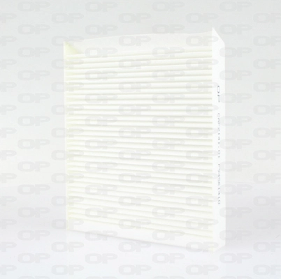 CAF214101 Open Parts