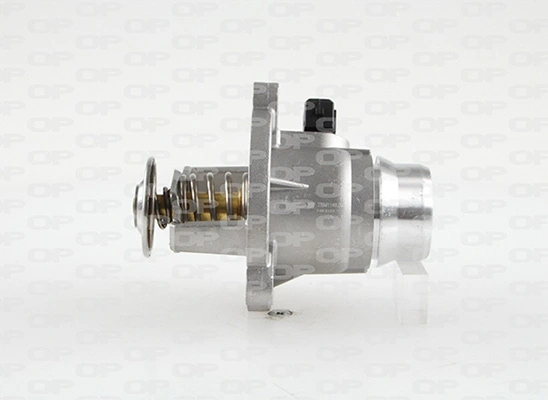 Termostato de agua BMW 7  (2015-2022)