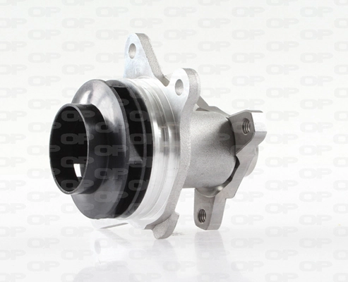 Comprar Bomba de agua Renault Trafic III EG a bajo precio