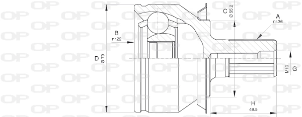 Junta homocinética exterior delantera para Mazda 3  (BK12)