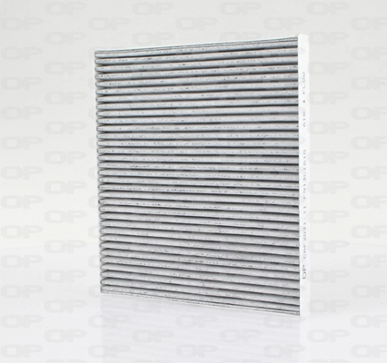 CAF203111 Open Parts