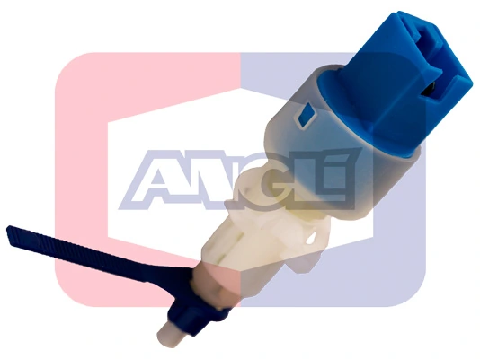 40024 Angli