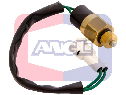9214 Angli
