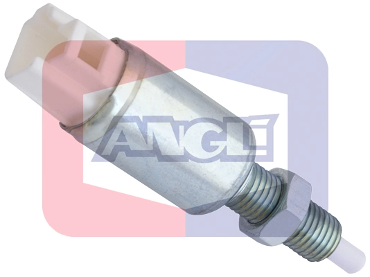 40098 Angli