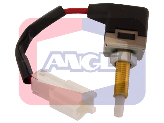 40028 Angli