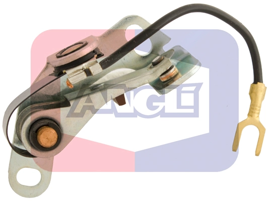 5007 Angli