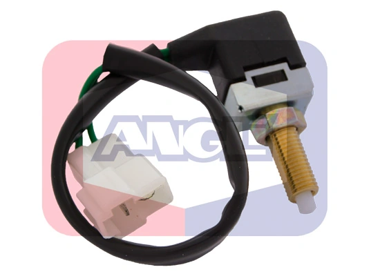 40079 Angli