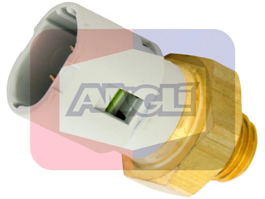 17516 Angli