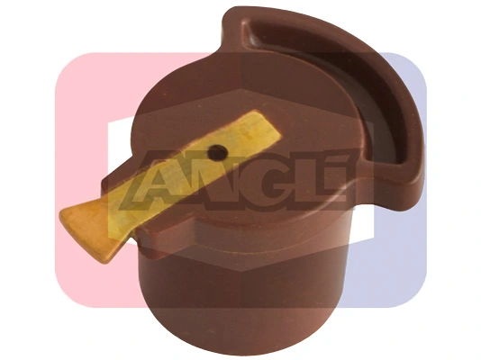 3203 Angli