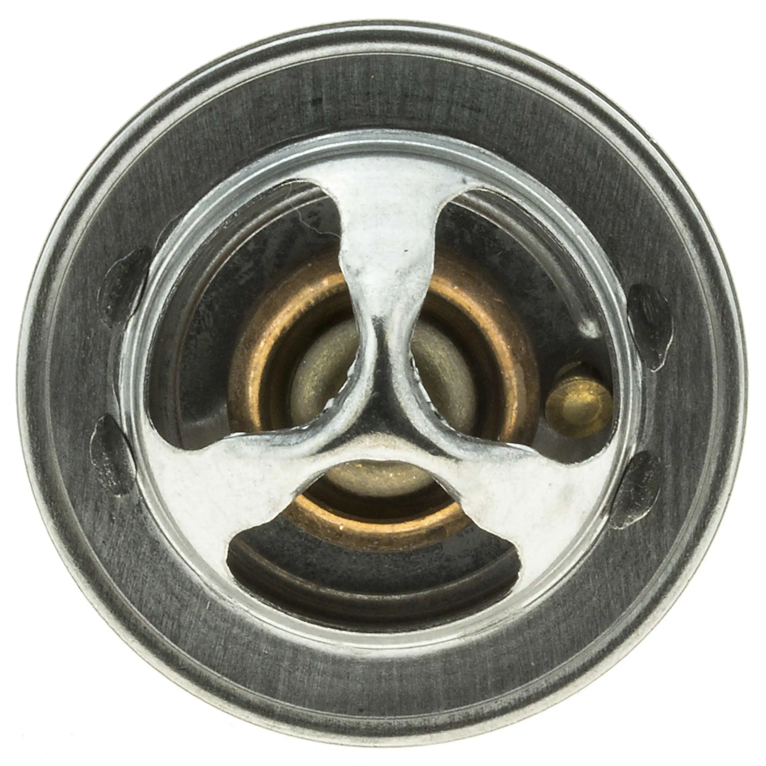 54377 Motorad