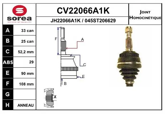 CV22066A1K EAI