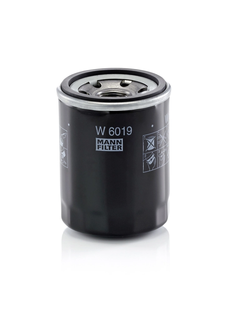 W6019 Mann-Filter