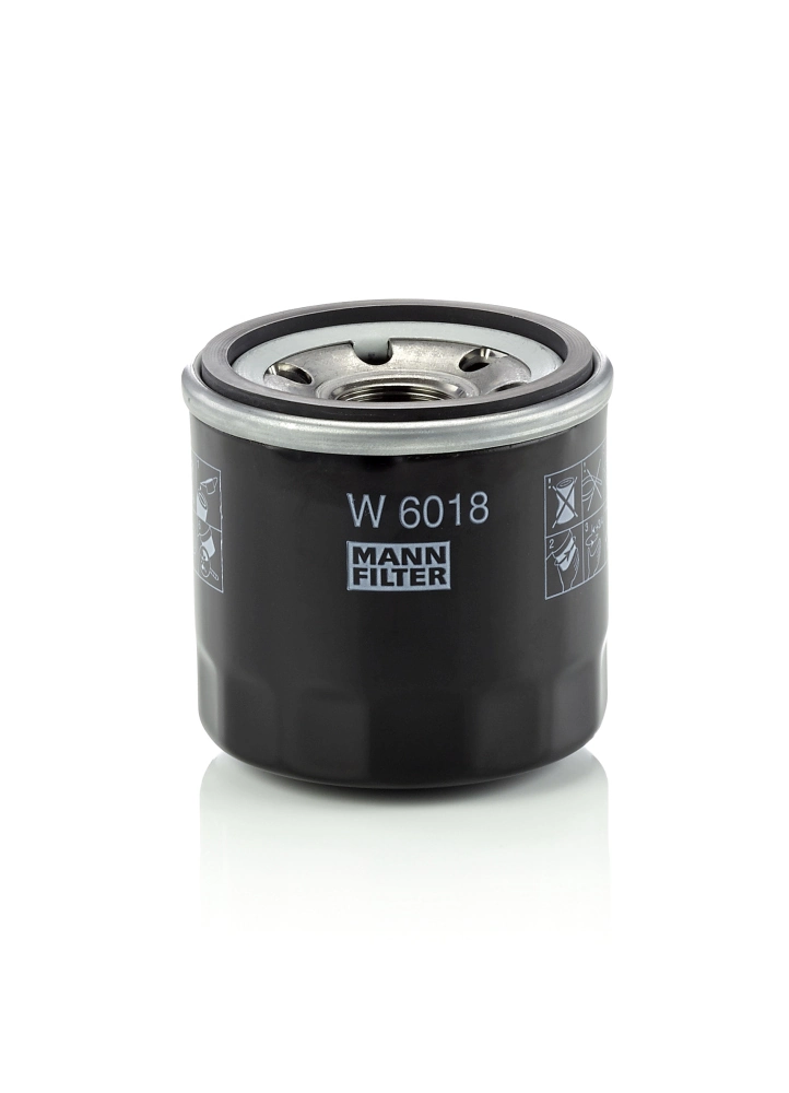 W6018 Mann-Filter