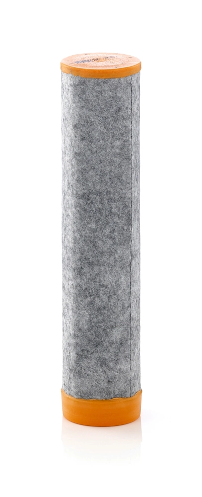 CF7001 Mann-Filter Filtro de aire de la bomba de aire secundario