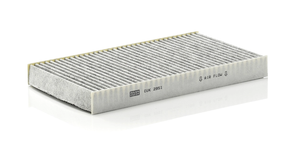 CUK2951 Mann-Filter