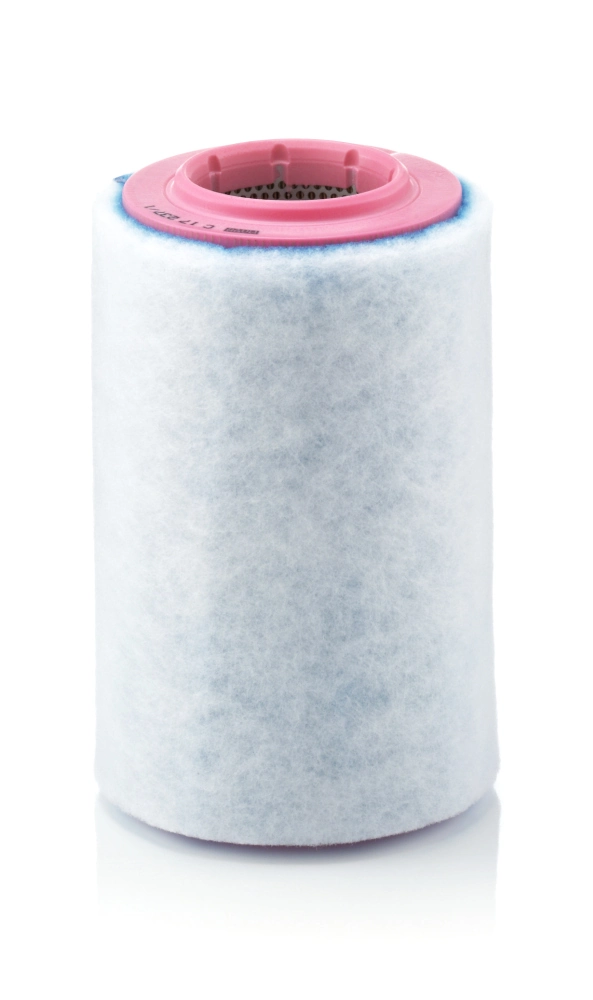 C172371 Mann-Filter