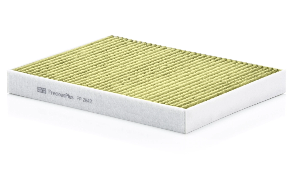 FP2842 Mann-Filter