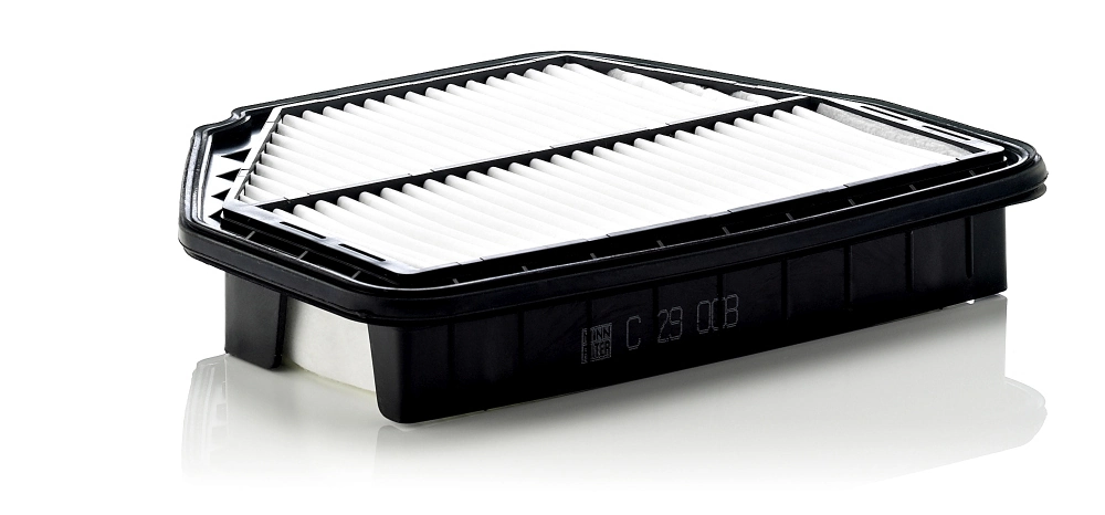 C29008 Mann-Filter