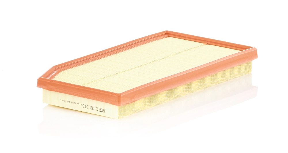 C36016 Mann-Filter